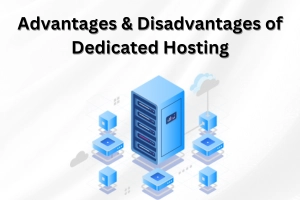 Advantages & Disadvantages of Dedicated Hosting: Pros vs. Cons